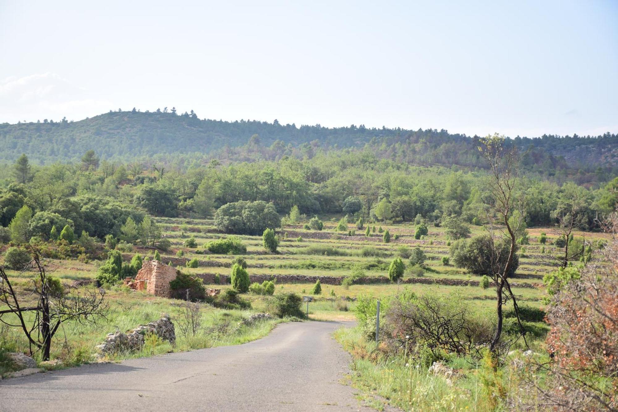 הוילה Los Pastores Oasis Rural מראה חיצוני תמונה